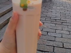 -猫的魔法密林(衣裳街店)