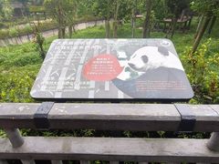 -中国大熊猫保护研究中心雅安碧峰峡基地
