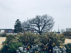 -横滨红砖仓库1号馆