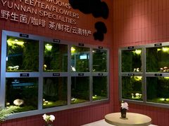 -芸山季·云南野生菌火锅(宝能环球汇店)