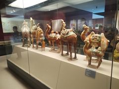 -西安大唐西市博物馆