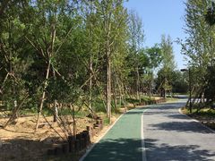 -回龙观体育文化公园