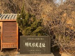 -大槐树寻根祭祖园