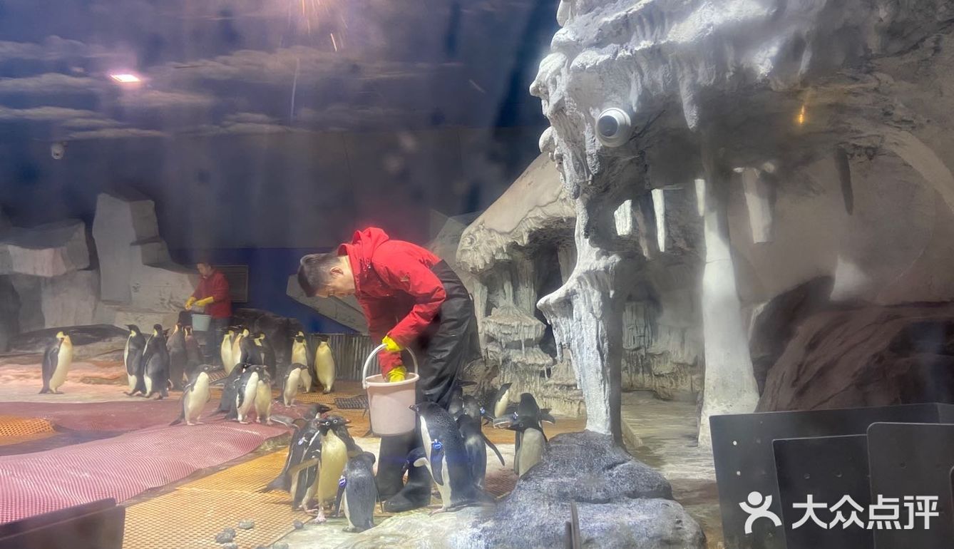武汉必打卡旅游地标|极地海洋主题公园