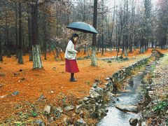 -南京市无想山景区