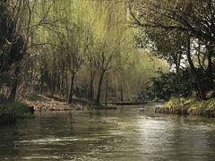 -同里国家湿地公园