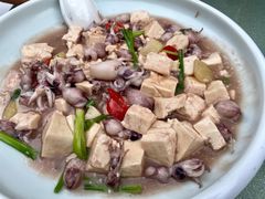 小鱿鱼焖豆腐-舌尖上·霞浦滩涂海鲜·新闽菜(总店)