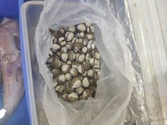 -廣味潮鲜·一品潮滋味(五道口店)