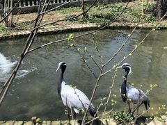 -上方山森林动物世界