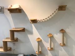 -Heymao猫咖.咖啡厅(东门店)