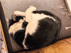 -萤火虫咖啡(后海店)
