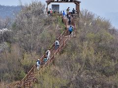 -大岭沟猕猴桃谷风景区