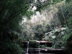 -蜀南竹海景区