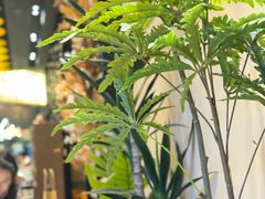 -get pizza意大利餐厅(凯德MALL店)