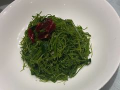 -沪碟·精菜坊(闵行店)