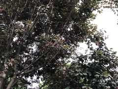 -杭州城北体育公园