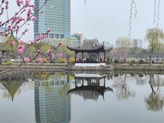 -无锡蠡湖国家湿地公园-蠡园