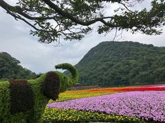 -广州市石门国家森林公园