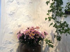 -Apollo·西班牙小酒馆(安福路店)