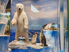 -国家自然博物馆