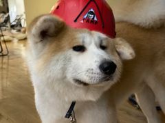 -YCHL Studios健身工作室(市二宫店)