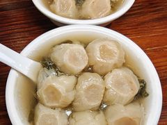 -丰收碗·陈皮果木烧鹅·23年老字号