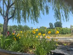 -安德鲁户外烧烤帐篷营地(马泉营店)