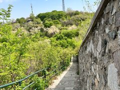 -香山公园