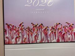 -好利来(下瓦房店)