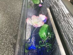 -大榕树下顺德菜(融创茂店)