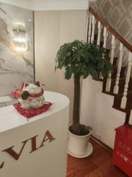 -茜尔维亚修身连锁(闵行莘庄店)