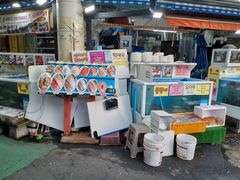 -西归浦每天偶来市场