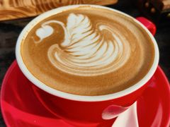 猪圈特色咖啡-猪圈咖啡