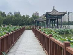 -莲花池公园