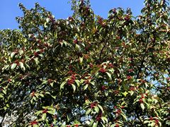 -白塘生态植物园