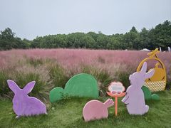 -同里国家湿地公园
