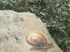 -上海鲜花港