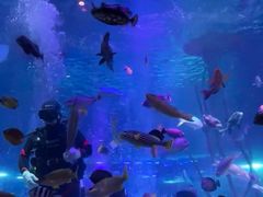 -沈阳海洋探索中心