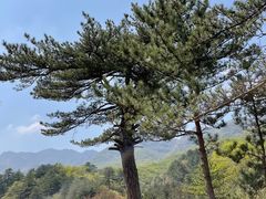 -玉渡山自然风景区