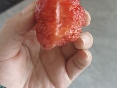-蜀霞记麻辣串(总店)