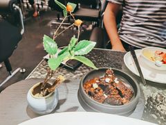 -桂花里·衢州菜·精酿餐吧(未来科技城万达广场店)