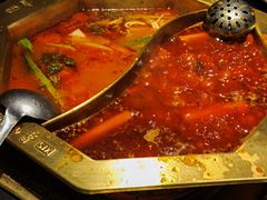 -蜀九香火锅(彩虹店)