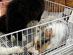 -金茂览秀城
