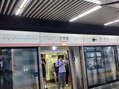 -大望路(地铁站)