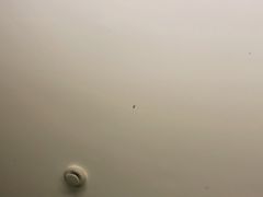 -悦来客栈(深圳南山地铁站店)