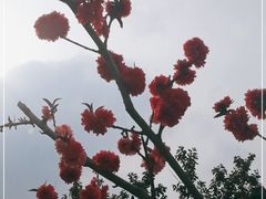 -廊坊文化艺术中心