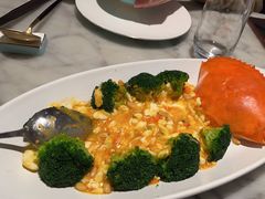 -蝶园·装修中(BFC外滩金融中心店)