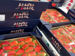 -盒马X会员店(上海森兰商都店)