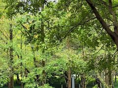 -重庆中央公园(渝北区)