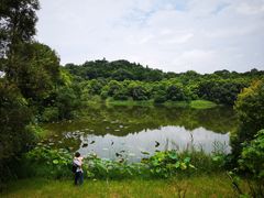 -福建鲤鱼洲酒店